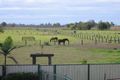 Property photo of 100 Crown Street Grafton NSW 2460