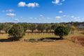 Property photo of 26 Scotts Lane Gulgong NSW 2852