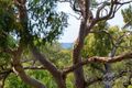 Property photo of 137A Donnelly Road Arcadia Vale NSW 2283