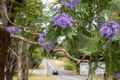 Property photo of 20 Bahrs Scrub Road Bahrs Scrub QLD 4207