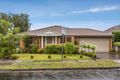 Property photo of 31 Winbourne Road Mount Waverley VIC 3149