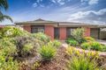 Property photo of 14 Cohen Court Clovelly Park SA 5042