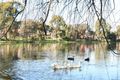 Property photo of 6 Ontario Place Rowville VIC 3178