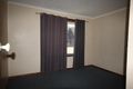 Property photo of 381 Sugarloaf Road Stanthorpe QLD 4380