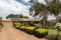 Property photo of 41 Grosser Street Millicent SA 5280