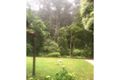 Property photo of 1637 Little Yarra Road Powelltown VIC 3797