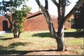 Property photo of 6 Cliff Avenue Port Noarlunga South SA 5167