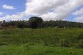 Property photo of 105 Cathu-O'Connell River Road Yalboroo QLD 4741