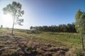 Property photo of 25/25 Salt Spring Road Glen Cairn QLD 4342