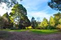 Property photo of 165 Cantillons Road Bullarto VIC 3461