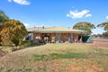 Property photo of 19 Robertson Street West Lamington WA 6430