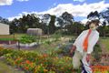 Property photo of 70 Osborne Court Wallu QLD 4570