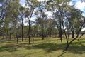 Property photo of 16 Caloola Drive Inverell NSW 2360