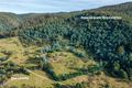 Property photo of 60 Mitchells Road Crabtree TAS 7109