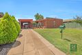 Property photo of 6 Evans Court Echuca VIC 3564