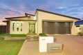 Property photo of 17 Sergiacomi Drive Kalkie QLD 4670