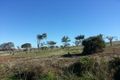 Property photo of 137 Radford Road Seppeltsfield SA 5355