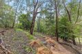 Property photo of 16 Wychwood Grove Upper Sturt SA 5156