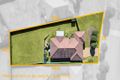 Property photo of 45 Bimbadeen Drive Muswellbrook NSW 2333