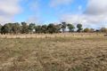 Property photo of 56 Llangothlin Road Guyra NSW 2365