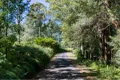 Property photo of 23 Eugenia Road Forest Glen QLD 4556