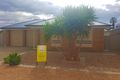 Property photo of 3/3 Callier Avenue Stirling North SA 5710