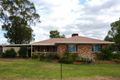 Property photo of 8 Dubbo Street Brocklehurst NSW 2830