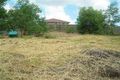 Property photo of 7 Bassili Drive Collingwood Park QLD 4301