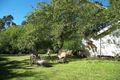 Property photo of 74 Falls Road Wentworth Falls NSW 2782
