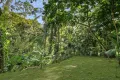 Property photo of 12 Rob Veivers Drive Kuranda QLD 4881