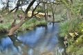 Property photo of 347 Mundoolun Connection Road Boyland QLD 4275
