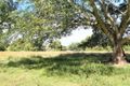 Property photo of 347 Mundoolun Connection Road Boyland QLD 4275