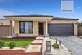 Property photo of 87 Thoresby Circuit Craigieburn VIC 3064