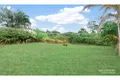 Property photo of 286 William Street The Range QLD 4700