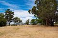 Property photo of 23 McNabb Road Newstead VIC 3462