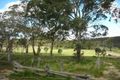 Property photo of 90 Winfarthing Road Marulan NSW 2579