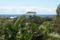 Property photo of 41 Lorilet Street Peregian Beach QLD 4573