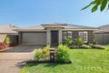 Property photo of 6 Samuel Street Cliftleigh NSW 2321