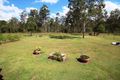 Property photo of 11 Green Drive Gunalda QLD 4570