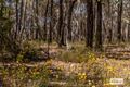 Property photo of LOT 1/1 Rooney Road Mandurang South VIC 3551