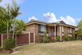 Property photo of 17 Fenton Crescent Minto NSW 2566