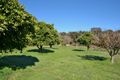 Property photo of 74 Hart Drive Chittering WA 6084