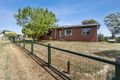 Property photo of 115 Pudding Bag Road Drummond VIC 3461