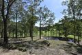 Property photo of 374 Dairy Arm Road Dairy Arm NSW 2325