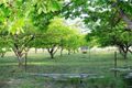 Property photo of 51 Parkers Lane Thulimbah QLD 4376