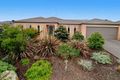 Property photo of 33 Delungra Avenue Clifton Springs VIC 3222