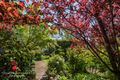 Property photo of 35 Mawhera Avenue Sandy Bay TAS 7005