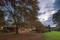 Property photo of 19 Blacks Road Arcadia NSW 2159