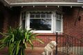 Property photo of 22 Craighill Road St Georges SA 5064