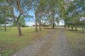 Property photo of 62 Lomas Lane Nulkaba NSW 2325